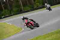 Lower Group Red Bikes